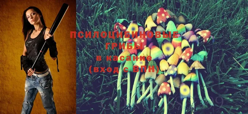 Псилоцибиновые грибы MAGIC MUSHROOMS  Колпашево 